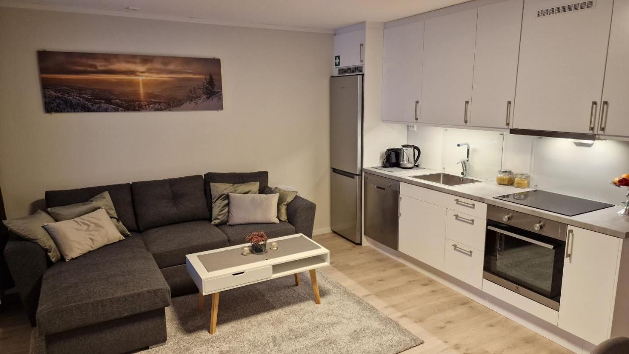 Haugetuft Apartments Amot  Экстерьер фото